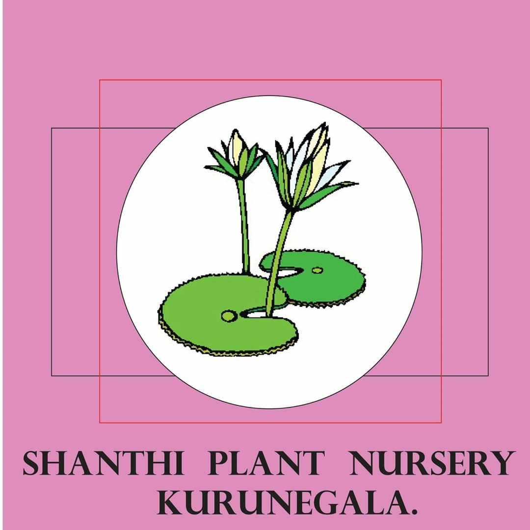 Shanthi Plant Nursery Kurunegala