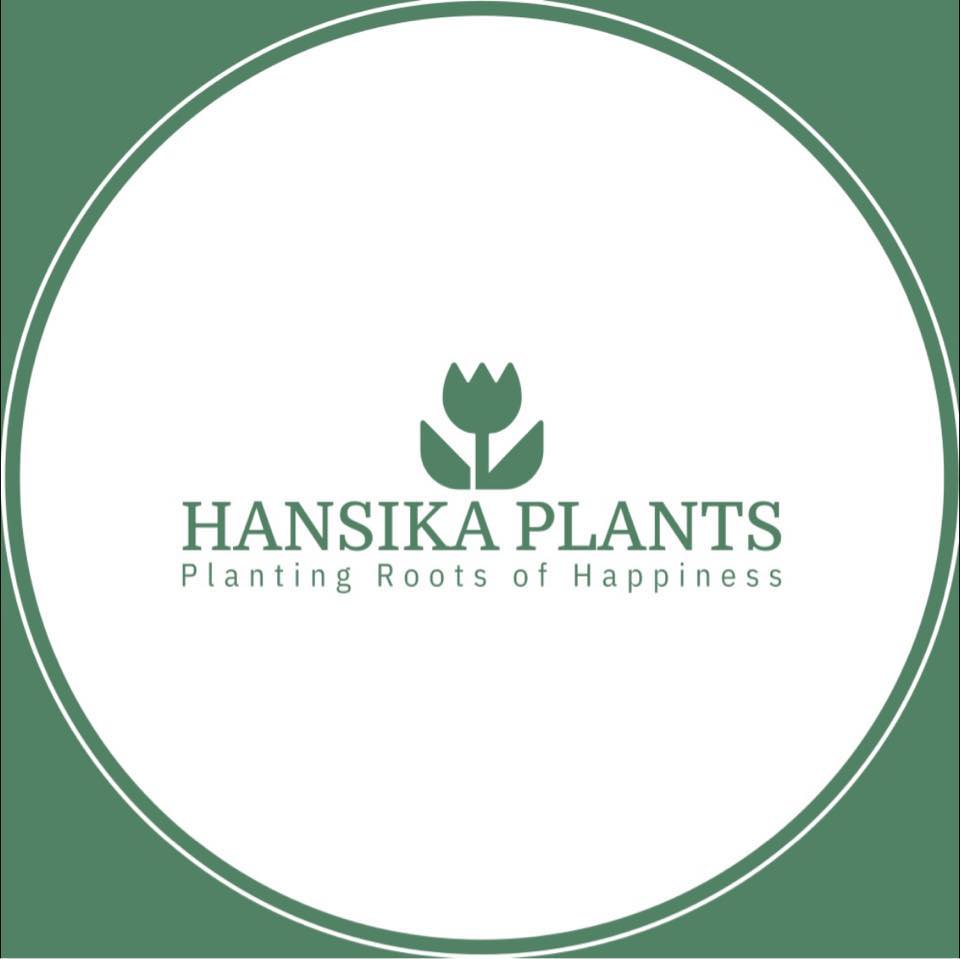 Plant Nursery in Negombo/ Hansika Plants