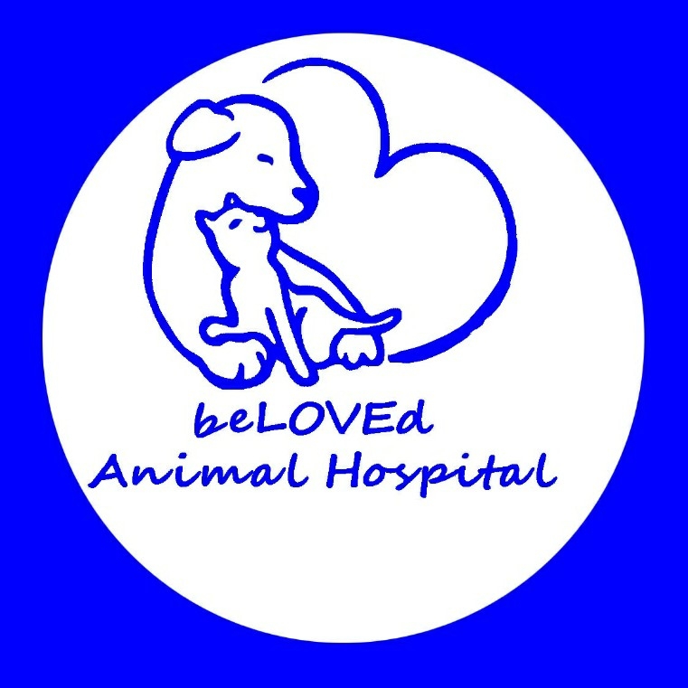 Beloved Animal Hospital-Yakkala