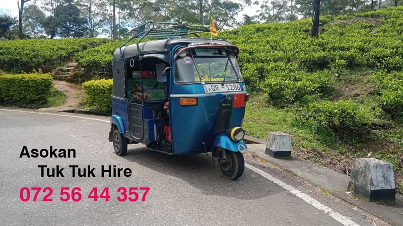 Tuk Tuk Hires Nanuoya